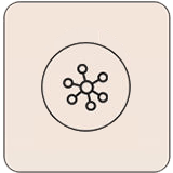 Structure Of Silk